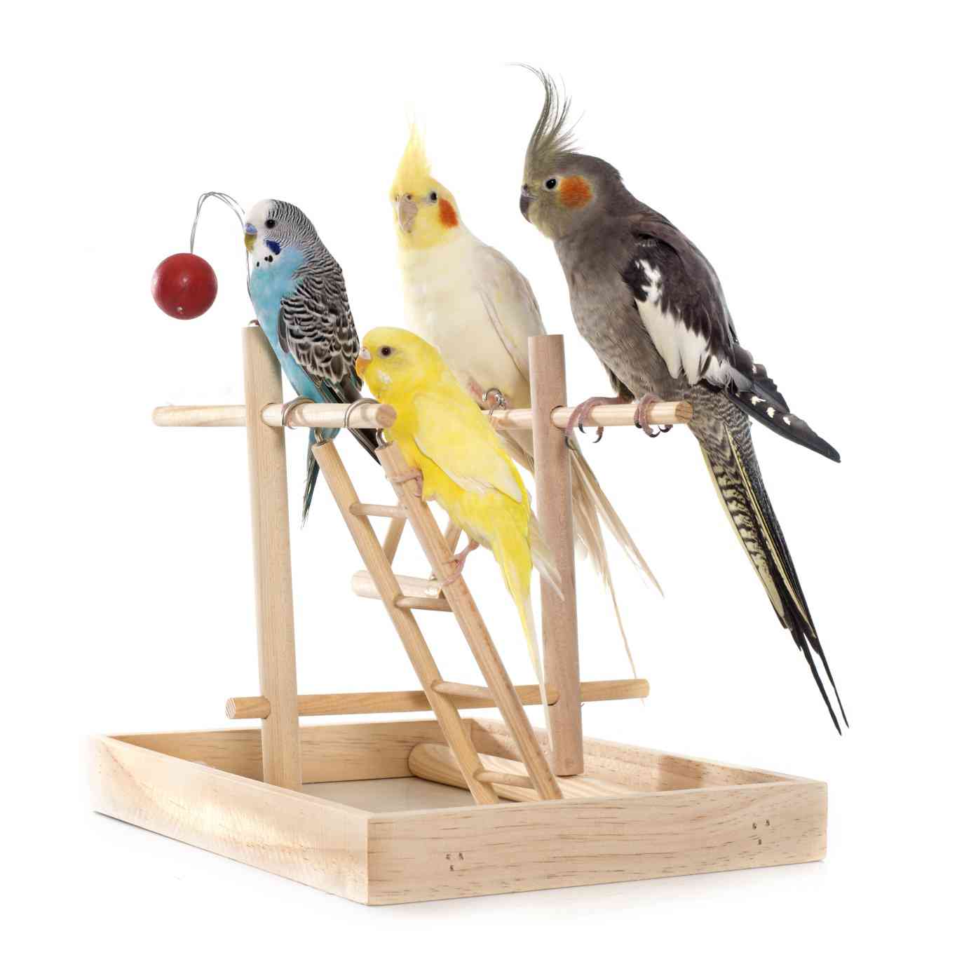 Tabletop play area